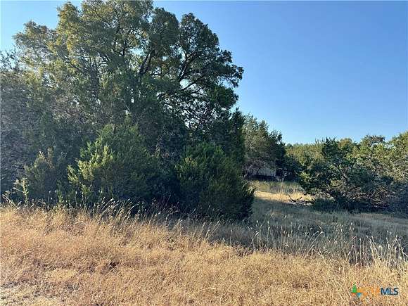 0.172 Acres of Residential Land for Sale in Spring Branch, Texas