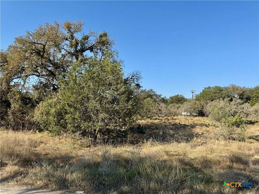 0.396 Acres of Residential Land for Sale in Spring Branch, Texas