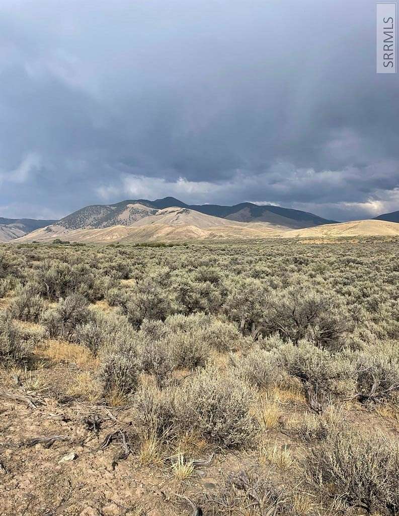 23.54 Acres of Recreational Land for Sale in Leadore, Idaho