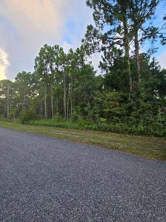 0.54 Acres of Land for Sale in Panacea, Florida