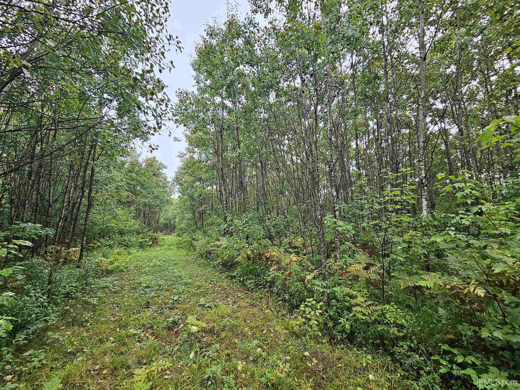 37.5 Acres of Recreational Land for Sale in Crystal Falls, Michigan