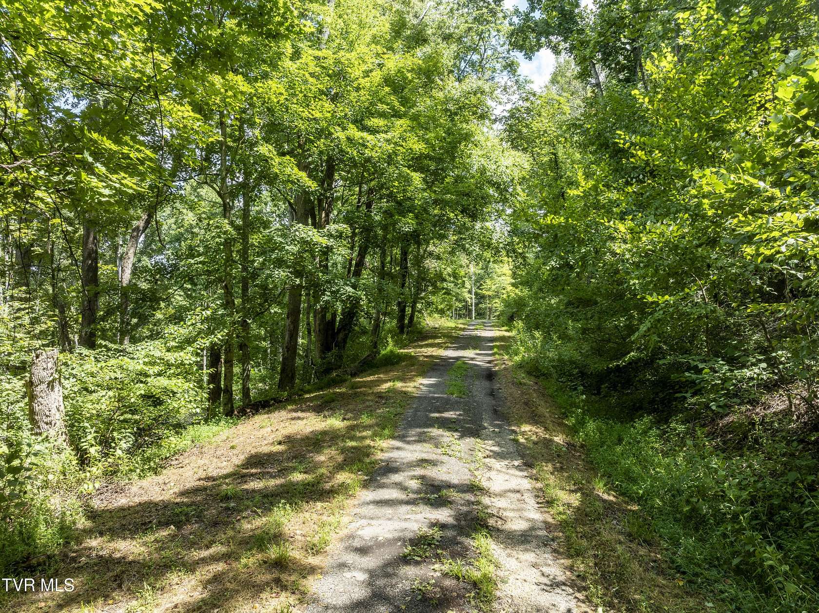 2.66 Acres of Residential Land for Sale in Butler, Tennessee