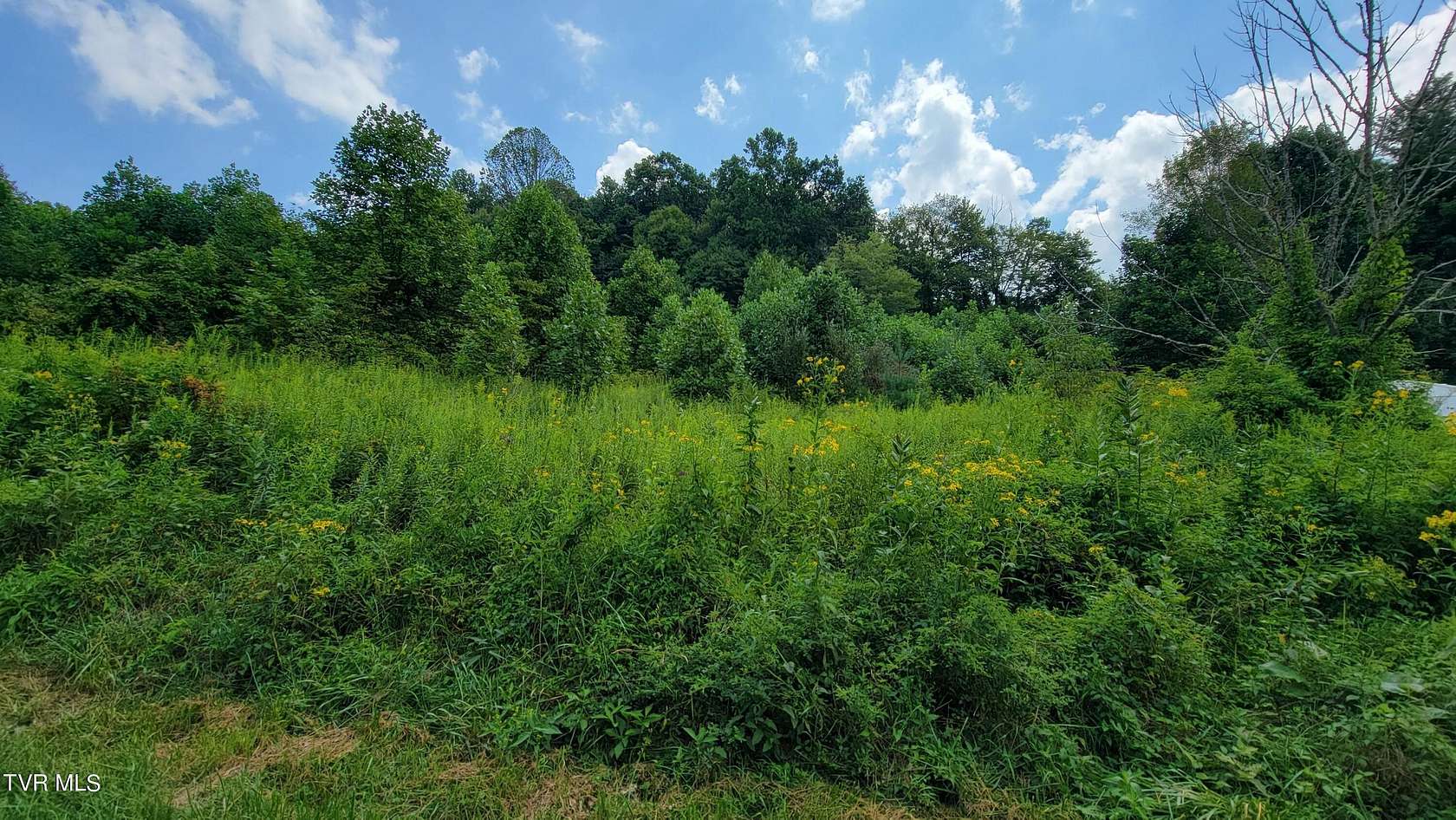 1.41 Acres of Land for Sale in Mountain City, Tennessee