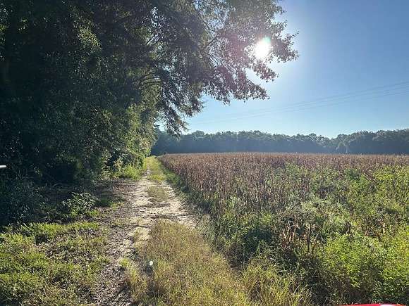 112 Acres of Recreational Land for Sale in Midland City, Alabama