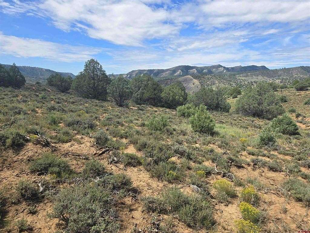 35.45 Acres of Agricultural Land for Sale in Pagosa Springs, Colorado