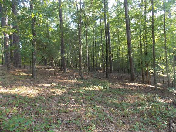 1.1 Acres of Residential Land for Sale in Lincolnton, Georgia