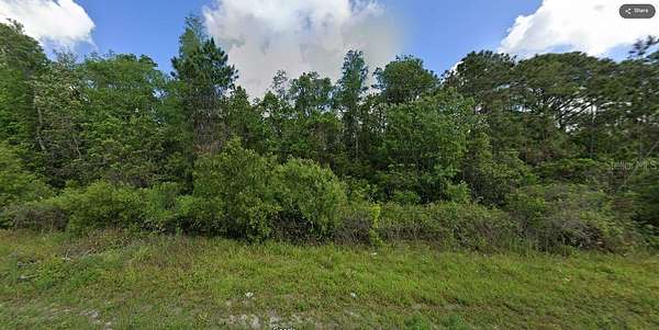 1.56 Acres of Land for Sale in Polk City, Florida