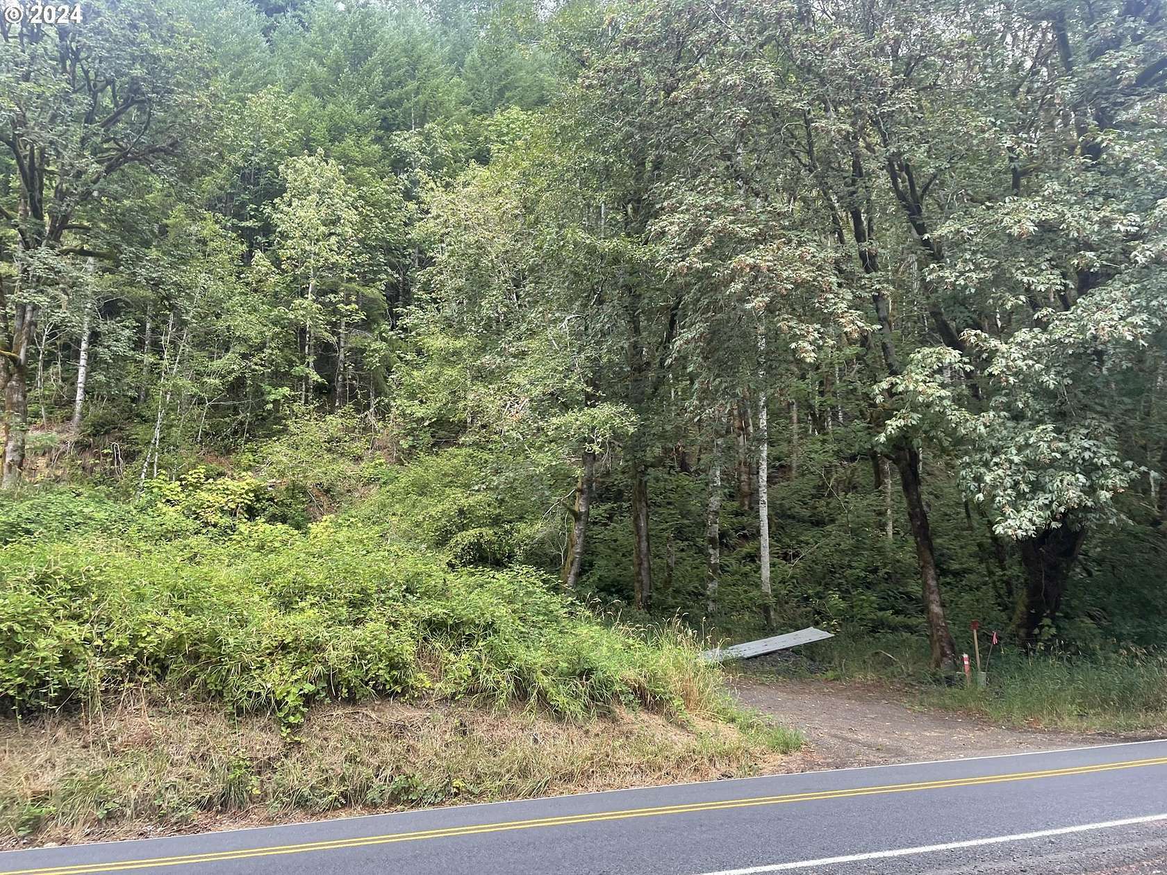 4 Acres of Land for Sale in Tidewater, Oregon