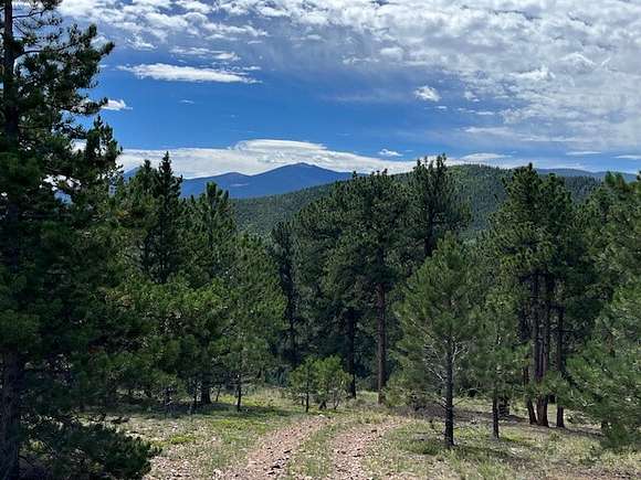 49.24 Acres of Recreational Land for Sale in Idaho Springs, Colorado