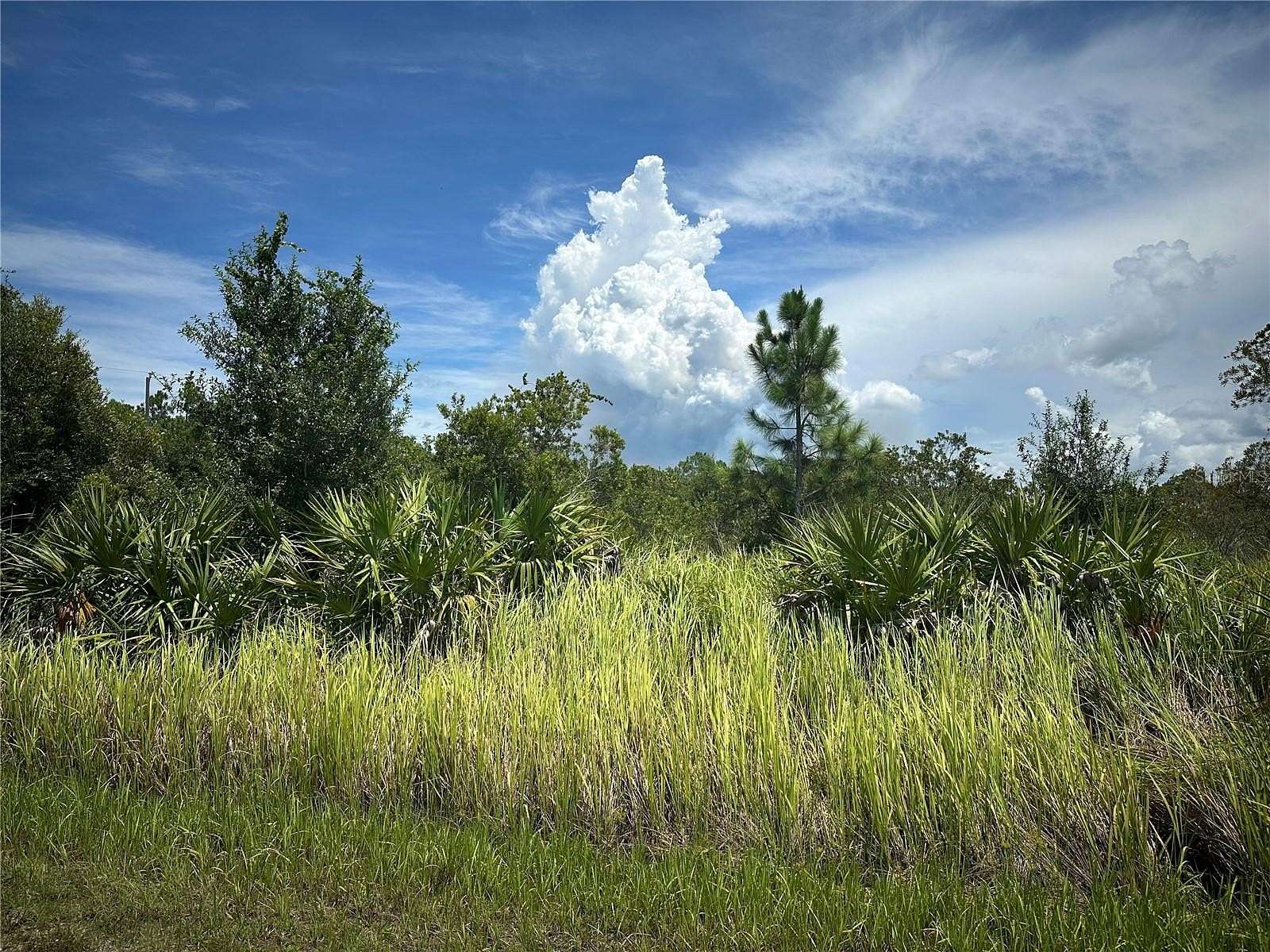 0.31 Acres of Land for Sale in Punta Gorda, Florida