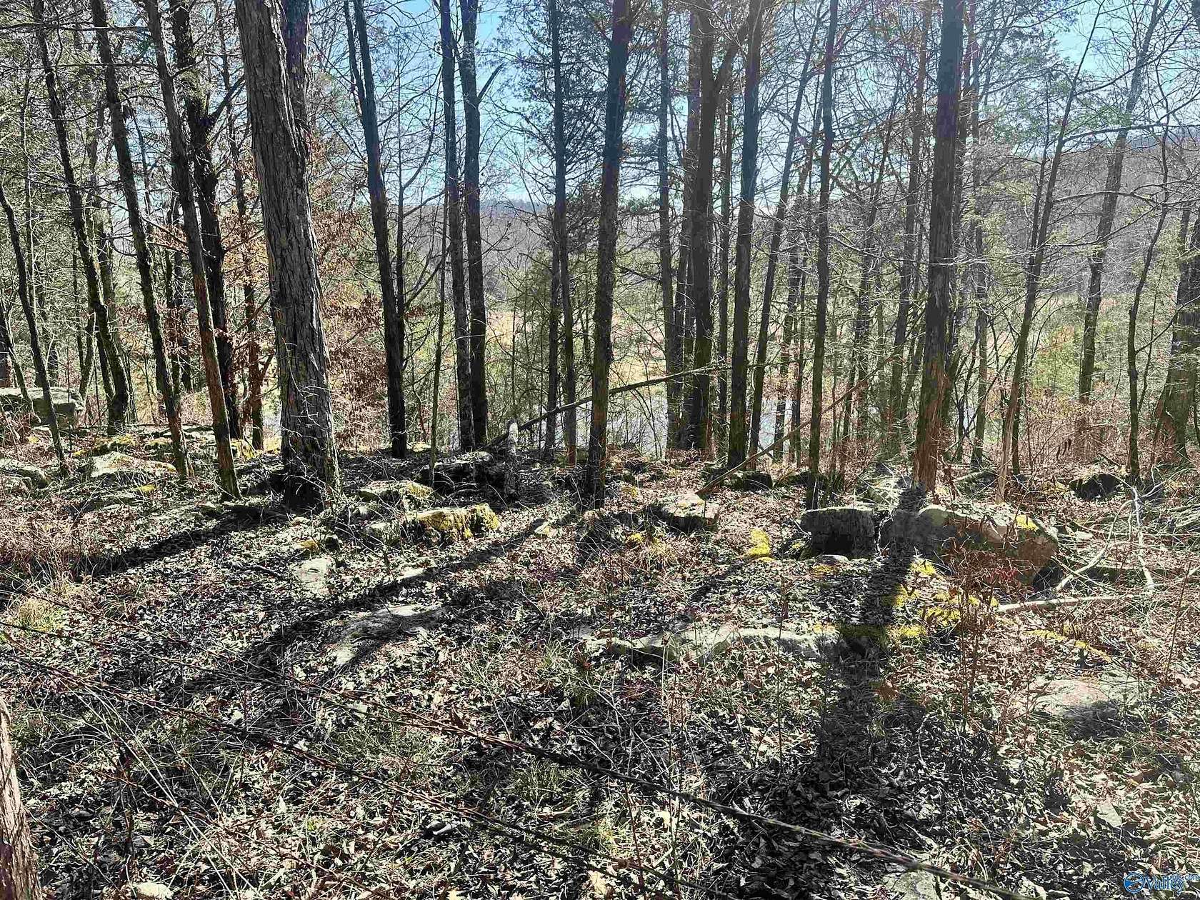 21 Acres of Land for Sale in Woodville, Alabama