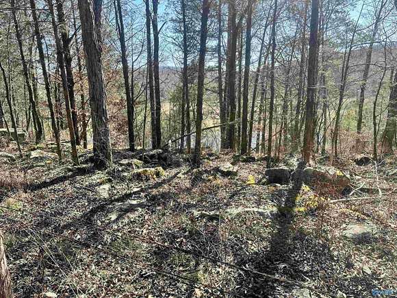 21 Acres of Land for Sale in Woodville, Alabama