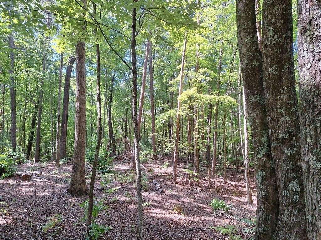 5.97 Acres of Residential Land for Sale in McCaysville, Georgia