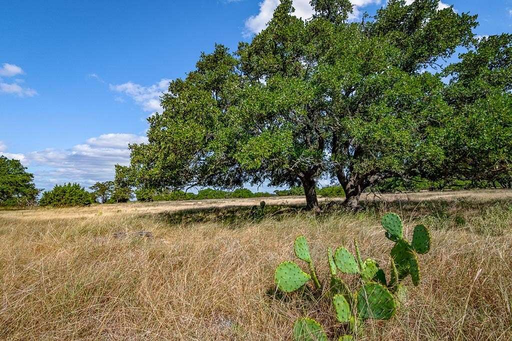 13.8 Acres of Recreational Land for Sale in Harper, Texas