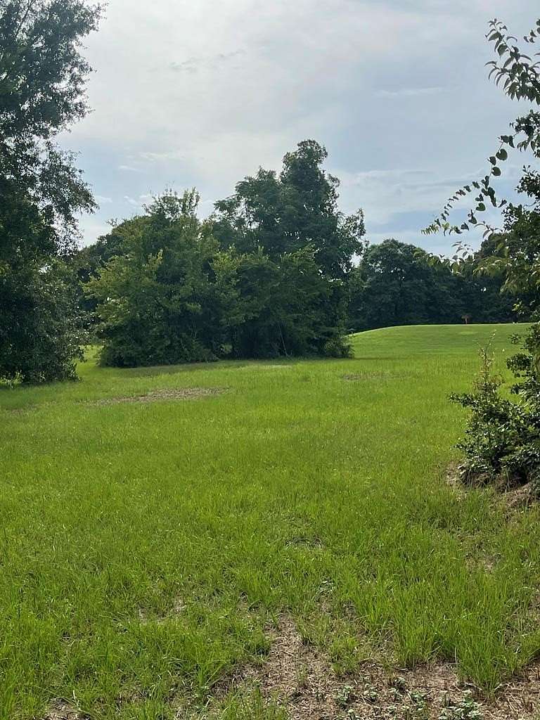 Residential Land for Sale in Eufaula, Alabama