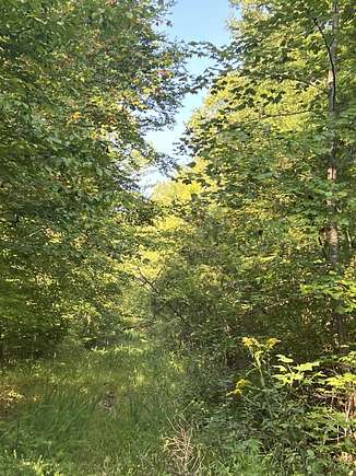 28 Acres of Land for Sale in West Liberty, Kentucky