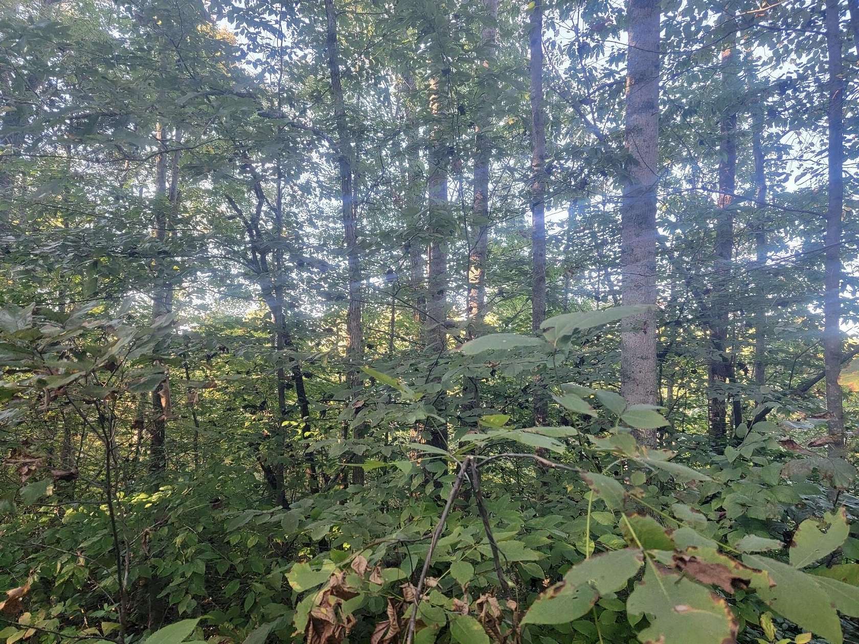 6.38 Acres of Land for Sale in Nancy, Kentucky