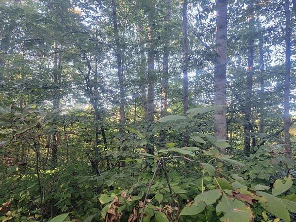 6.38 Acres of Land for Sale in Nancy, Kentucky