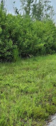 0.23 Acres of Residential Land for Sale in Port Charlotte, Florida