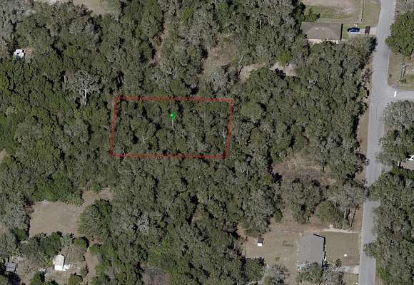 0.33 Acres of Land for Sale in De Leon Springs, Florida