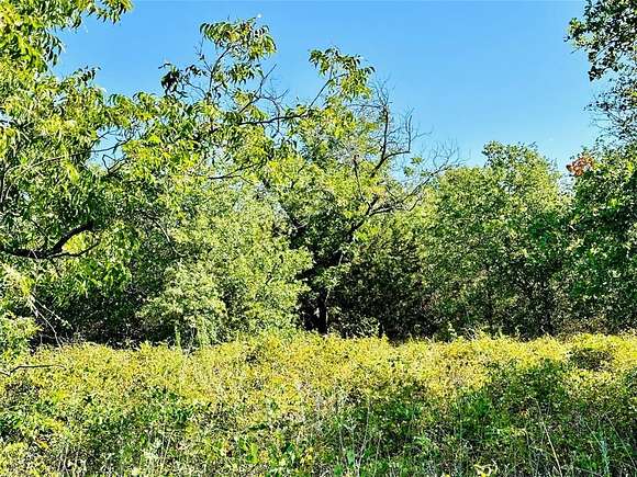 62.59 Acres of Recreational Land for Sale in Cisco, Texas