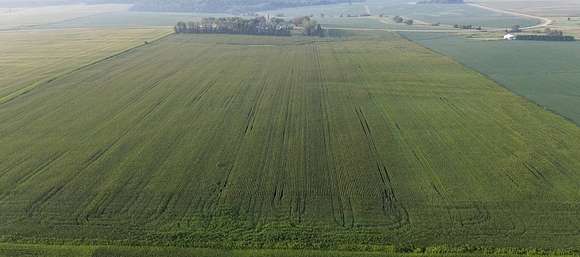 72.9 Acres of Agricultural Land for Sale in West Concord, Minnesota