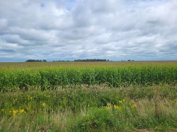 34.5 Acres of Agricultural Land for Sale in Stewartville, Minnesota