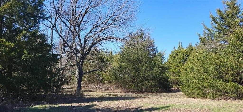 15.041 Acres of Agricultural Land for Sale in Leonard, Texas