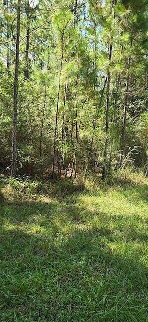 0.54 Acres of Residential Land for Sale in Milton, Florida