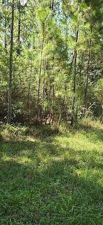 0.54 Acres of Residential Land for Sale in Milton, Florida