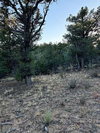 2.42 Acres of Residential Land for Sale in Cotopaxi, Colorado