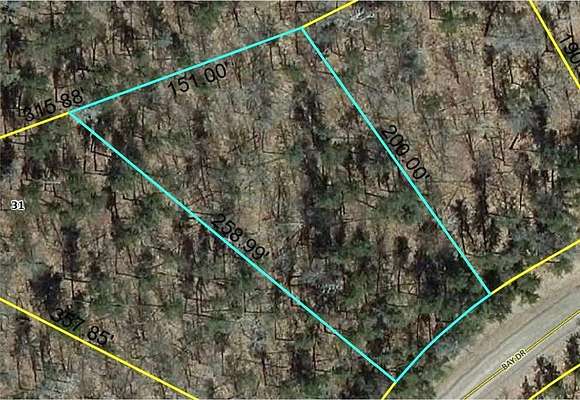 0.5 Acres of Residential Land for Sale in Danbury, Wisconsin