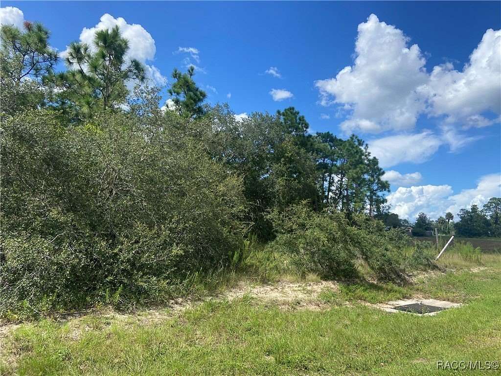 0.78 Acres of Commercial Land for Sale in Lecanto, Florida