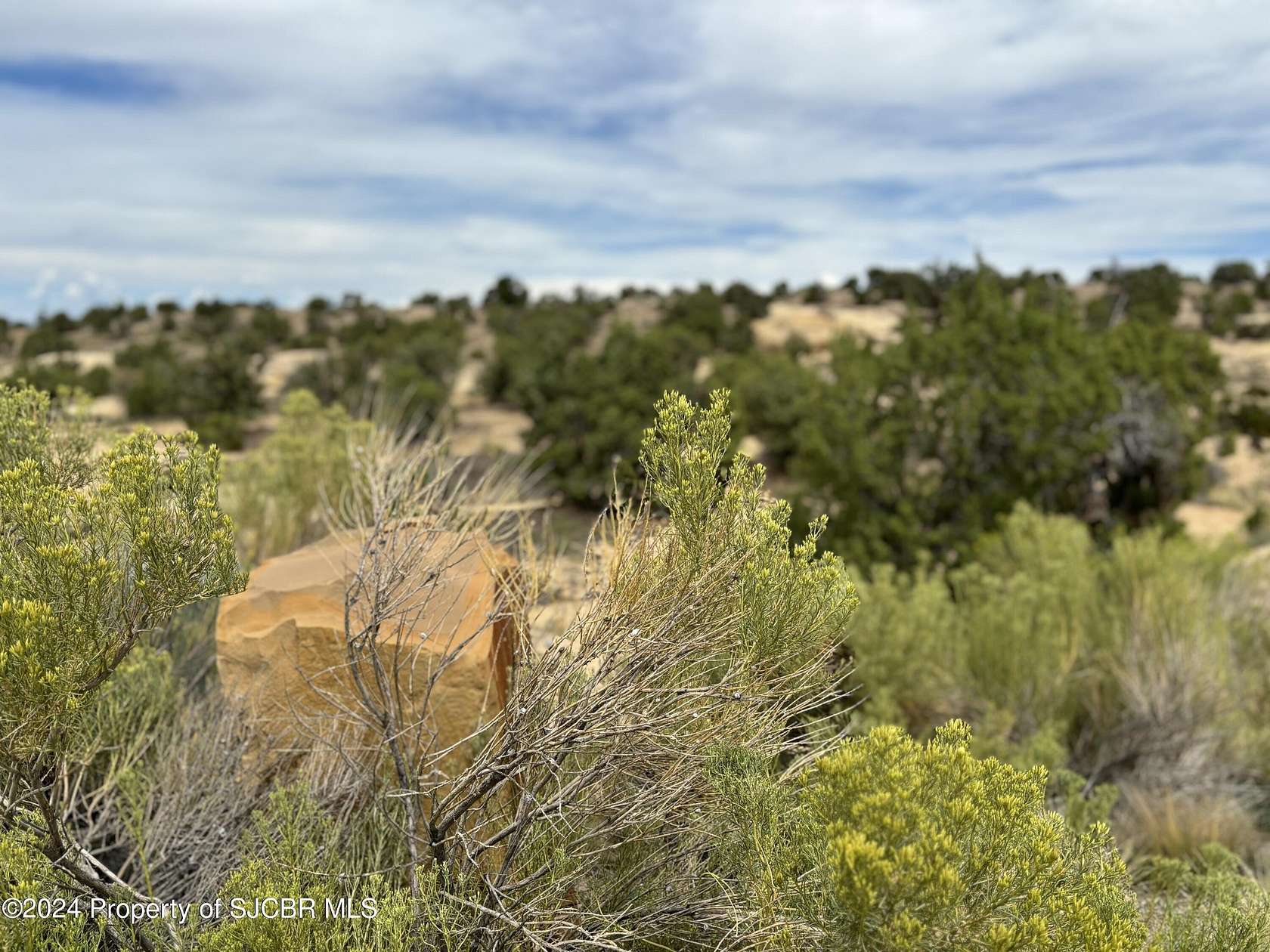 1.3 Acres of Residential Land for Sale in Farmington, New Mexico