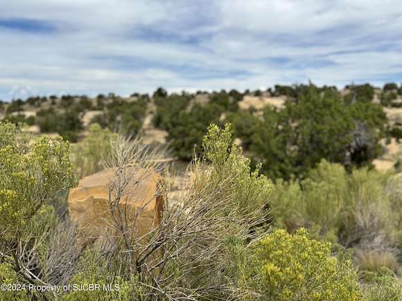 1.3 Acres of Residential Land for Sale in Farmington, New Mexico