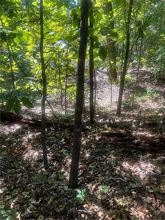 0.4 Acres of Residential Land for Sale in Bella Vista, Arkansas