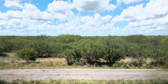 56.8 Acres of Land for Sale in Alice, Texas