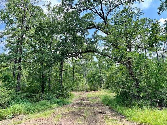 20 Acres of Recreational Land for Sale in Huntsville, Texas