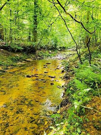 40 Acres of Land for Sale in Rockmart, Georgia