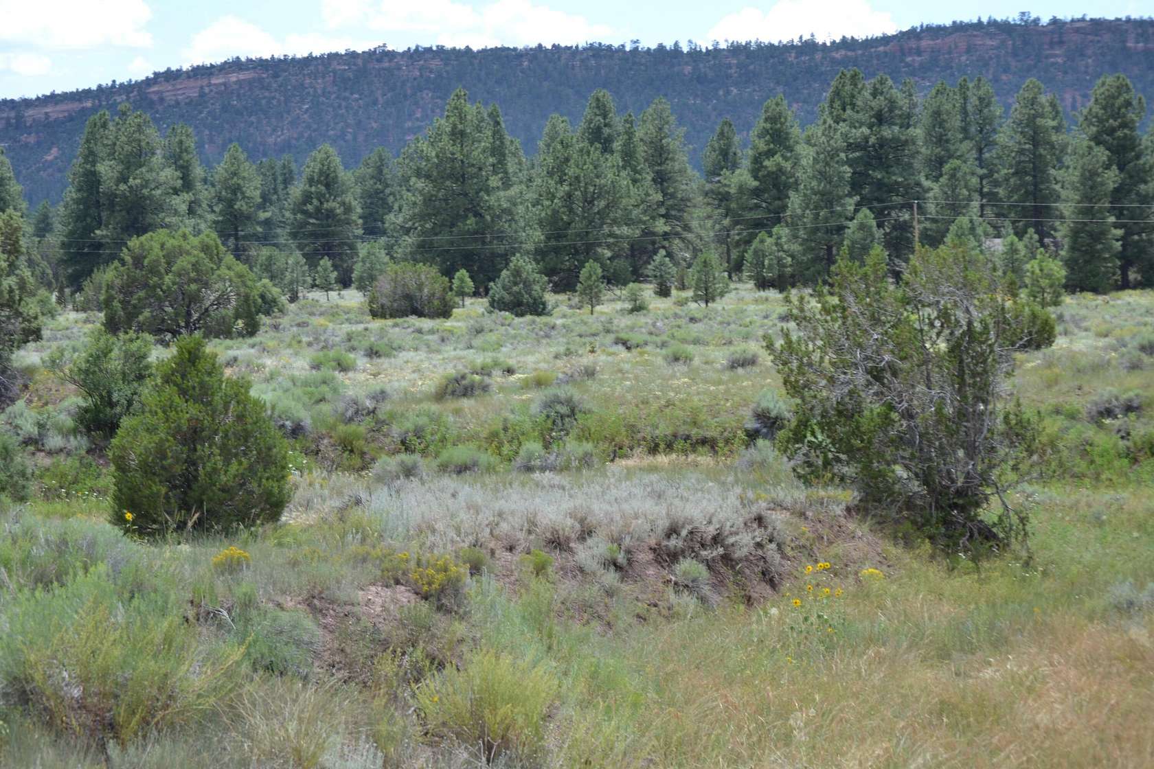 5 Acres of Land for Sale in Ramah, New Mexico