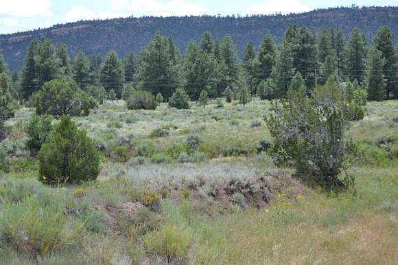 4.95 Acres of Residential Land for Sale in Ramah, New Mexico