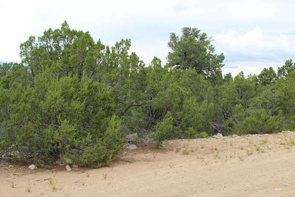 1.37 Acres of Land for Sale in Tijeras, New Mexico