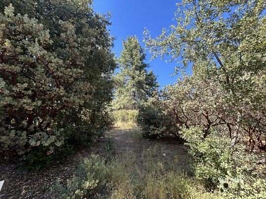 0.2 Acres of Land for Sale in Idyllwild, California