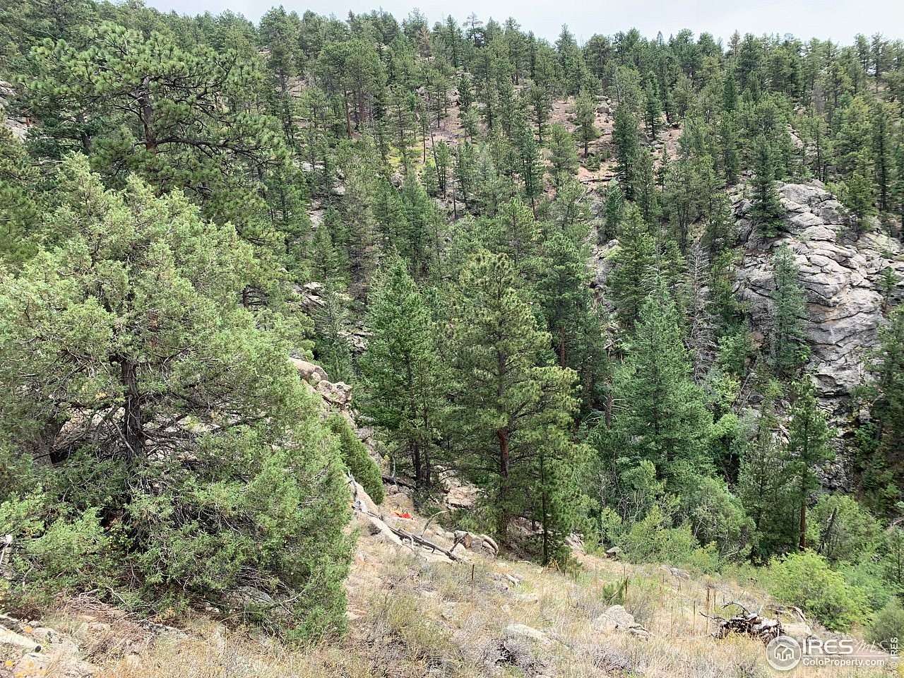 2.67 Acres of Land for Sale in Estes Park, Colorado