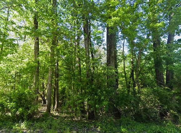 7 Acres of Land for Sale in Alpine, Alabama