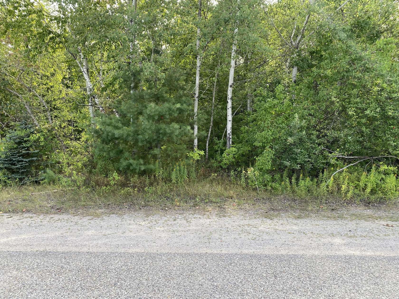 Residential Land for Sale in Rogers City, Michigan