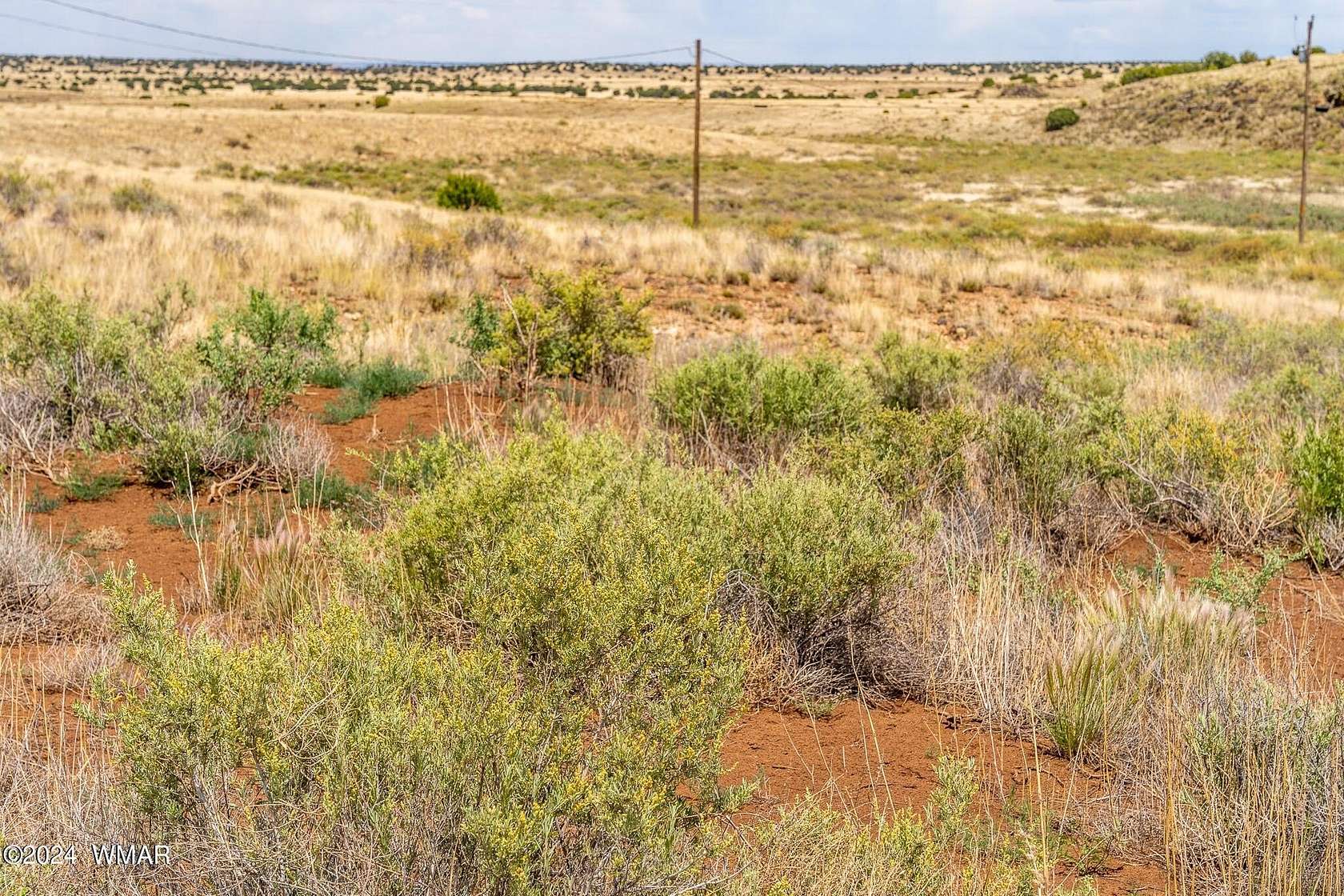 9.93 Acres of Residential Land for Sale in Concho, Arizona