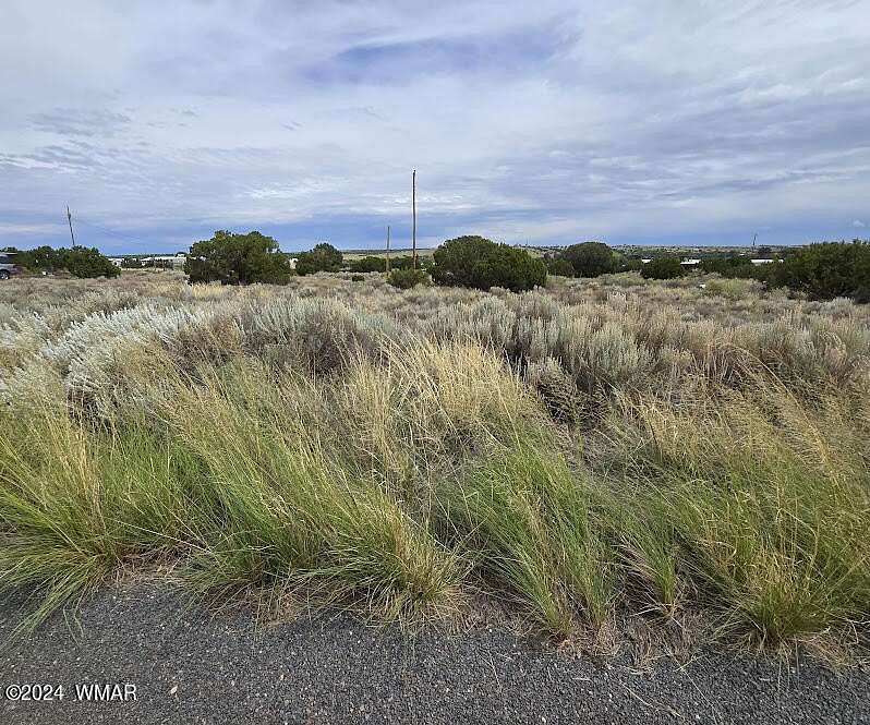 0.33 Acres of Residential Land for Sale in Concho, Arizona