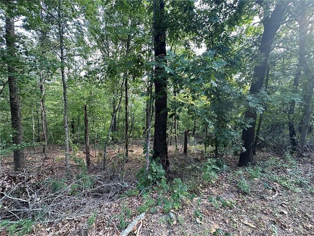 0.29 Acres of Residential Land for Sale in Bella Vista, Arkansas