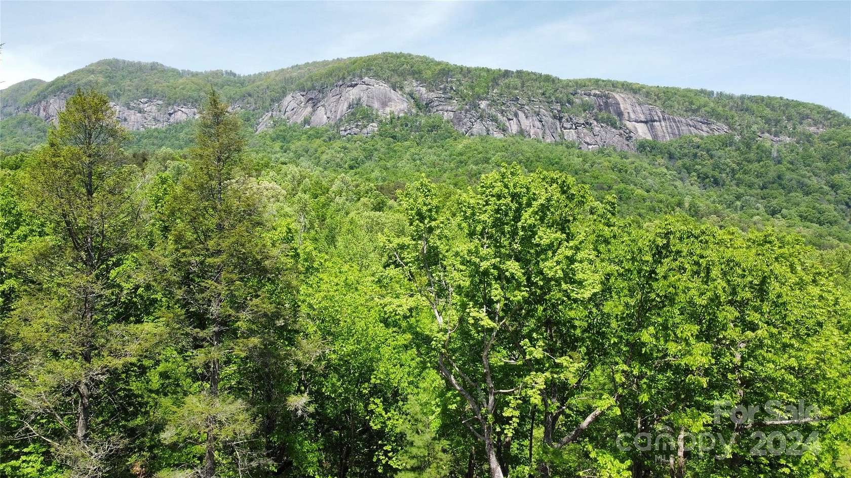 0.78 Acres of Residential Land for Sale in Lake Lure, North Carolina